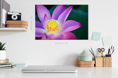 Impression sur toile - Fleur de lotus sur l'étang #E0635