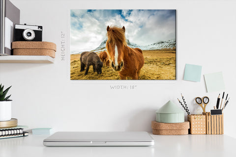 Impression sur toile - Chevaux dans les montagnes, Islande #E0892