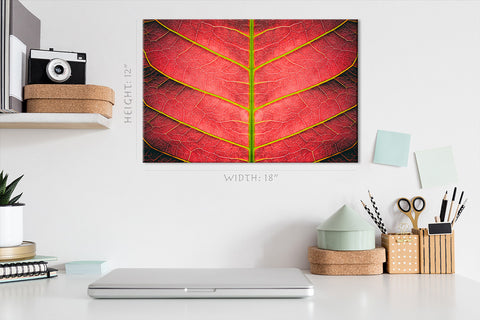 Canvas Print -  Autumn Red Leaf #E0648