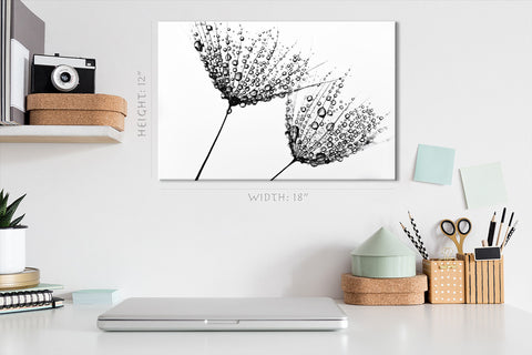 Canvas Print -  Black And White Photo With Dandelions #E0832