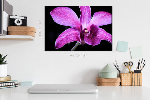 Impression sur toile - Orchidée rose #E0663