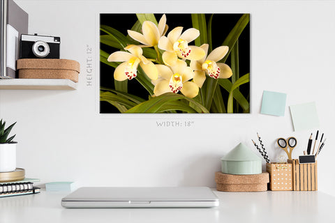 Canvas Print -  Beautiful Yellow Orchids #E0679