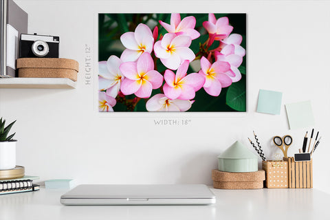 Impression sur toile - Plumeria rose, fleur exotique tropicale #E0640