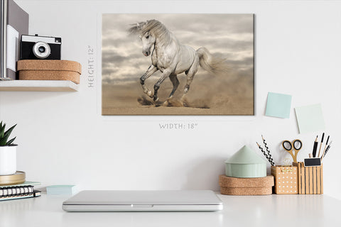 Impression sur toile - Cheval andalou dans le désert #E0890