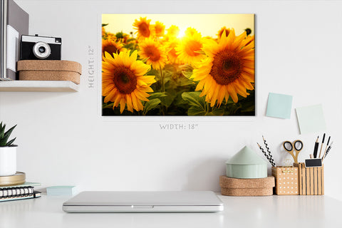 Canvas Print -  Sunflower Field At Sunrise #E0733