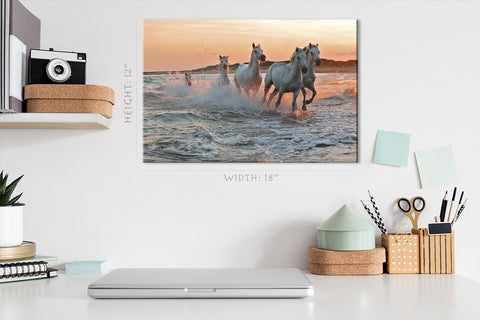 Canvas Print -  Running Horses On Water At Sunset #E0925