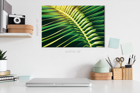 Canvas Print -  Sunlight Shining On Tropical Palm Leaf #E0641