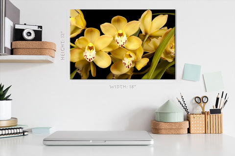 Canvas Print -  Yellow Orchids #E0684