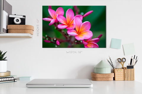 Impression sur toile - Branche de Plumeria rose tropical #E0674