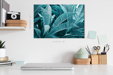 Canvas Print -  Frangipani Foliage #E0638