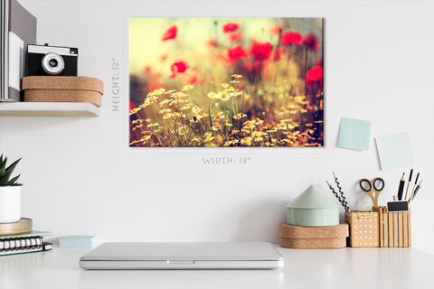 Canvas Print -  Daises At Morning #E0844