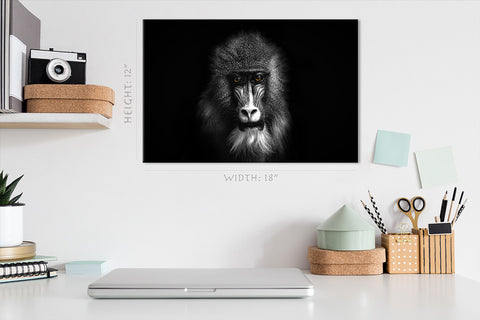 Canvas Print -  Portrait Of Baboon With Yellow Eyes #E1027