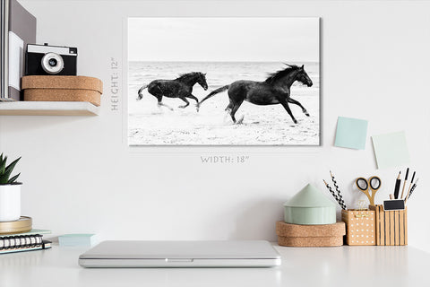 Canvas Print -  Two Horses Running On The Seashore #E0894