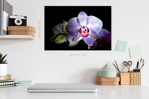 Impression sur toile - Belle fleur d'orchidée rose #E0661