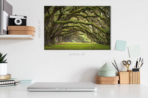 Impression sur toile - Oaks Avenue Charleston #E0958