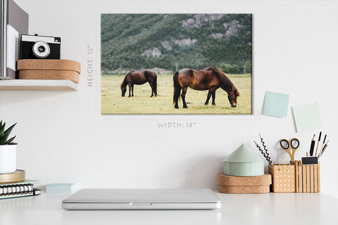 Canvas Print -  Two Horse In The Field #E0907