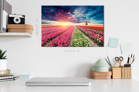 Canvas Print -  Field Of Tulips At Sunset #E0756