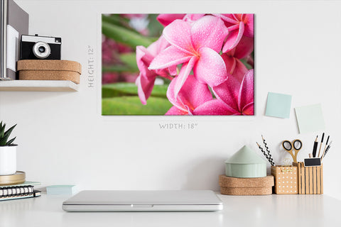 Impression sur toile - Plumeria rose en été #E0669