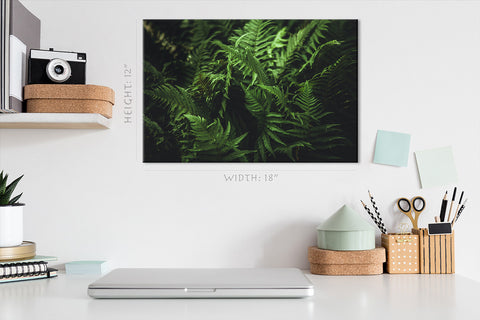 Canvas Print -  Green Fern Leafs #E0817