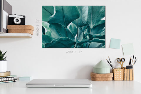 Canvas Print -  Big Foliage In Rainforest #E0645