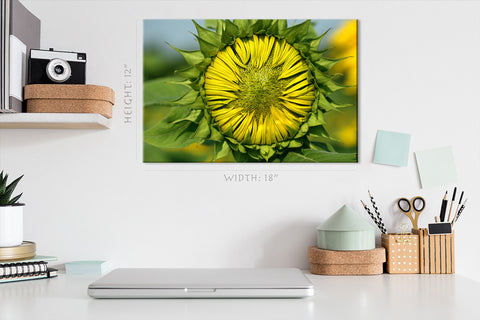 Impression sur toile - Tournesol en fleurs #E0695