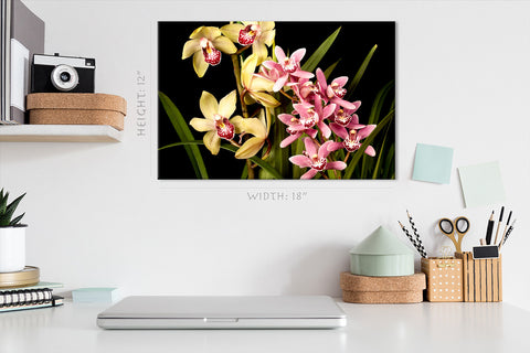 Impression sur toile - Orchidées roses et jaunes #E0675