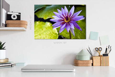 Impression sur toile - Lotus violet thaïlandais sur l'étang #E0660