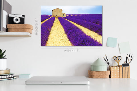 Canvas Print -  Beautiful Lavender Field #E0749