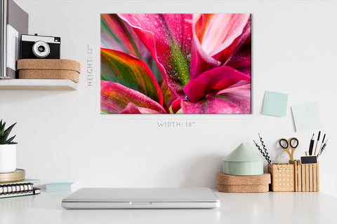 Canvas Print -  Crimson Bromeliad Flower #E0670