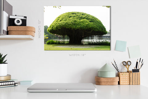 Canvas Print -  Mushroom Shape Banyan Tree #E1002