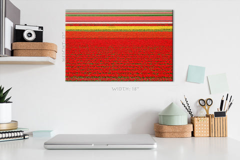 Canvas Print -  Colorful Tulip Field #E0737