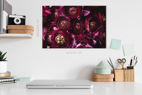 Canvas Print -  Burgundy Ranunculus Flowers #E0833