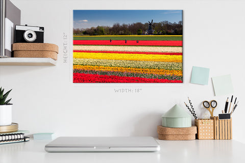 Canvas Print -  Field Of Tulips, Netherlands #E0748