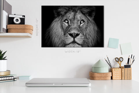 Canvas Print -  Portrait Of Beautiful Lion #E1026