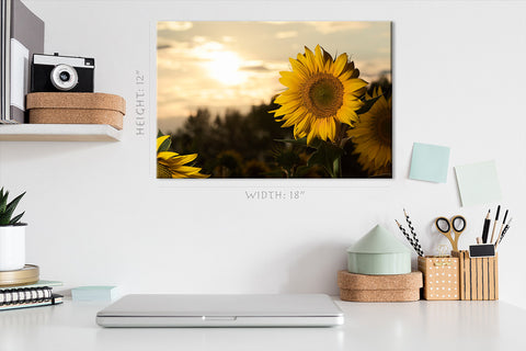 Canvas Print -  Close Up Of Sunflowers At Sunset #E0734