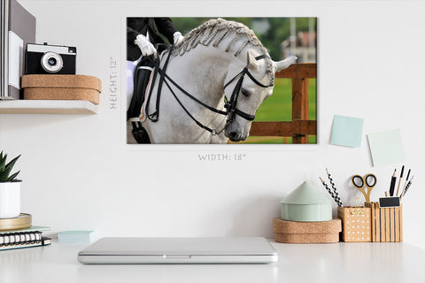 Canvas Print -  Pura Raza Espanola Andalusian Horse #E0901