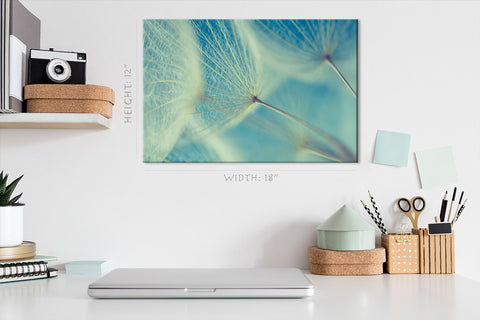 Canvas Print -  Dandelions At Morning #E0829