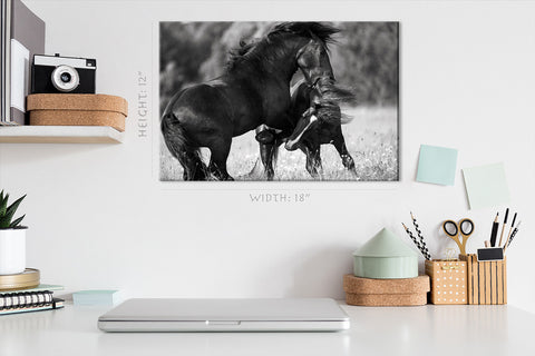 Canvas Print -  Two Draft Horses Fighting #E1019