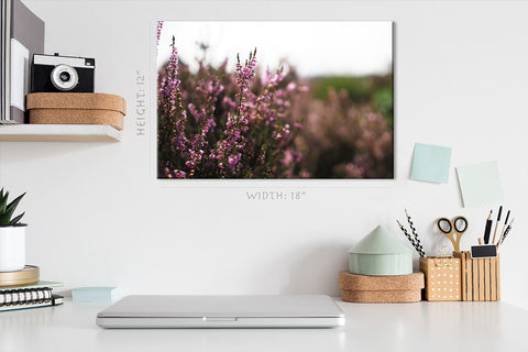 Canvas Print -  Lavender In Natural Park, Netherlands #E0803