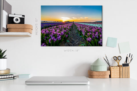 Canvas Print -  Hyacinth Field At Sunset #E0742