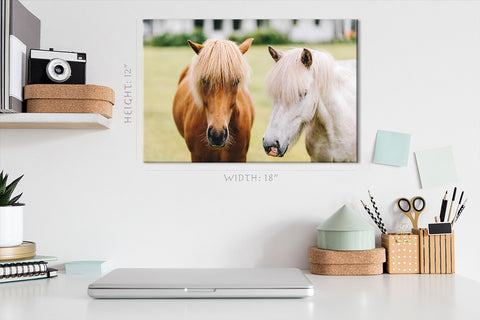 Impression sur toile - Portrait de beaux chevaux #E0908