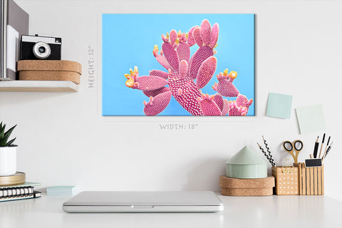 Canvas Print -  Blooming Pink Cactus On Blue Background #E0812