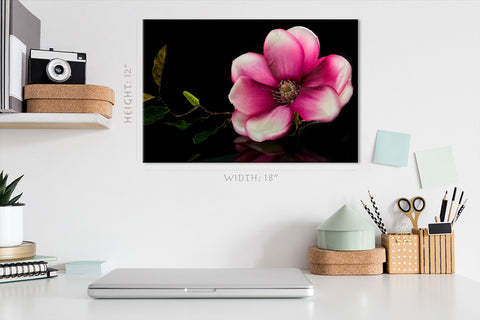 Canvas Print -  Tropical Pink Flower #E0666