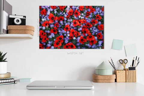 Impression sur toile - Champ de tulipes rouges et de fleurs violettes #E0671