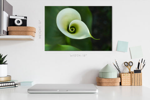 Impression sur toile - Belle calla blanche #E0659