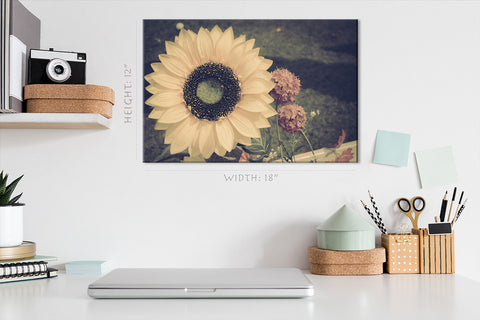 Impression sur toile - Tournesol vintage #E0869