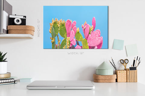 Impression Sur Toile - Cactus Vert Et Rose Sur Fond Bleu #E0810