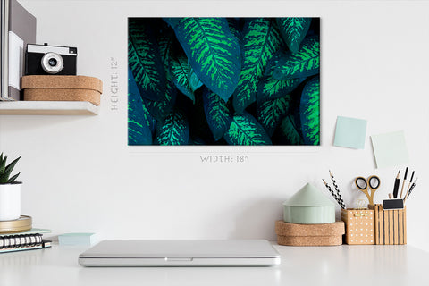 Canvas Print -  Tropical Foliage #E0825