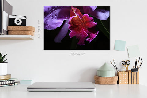 Canvas Print -  Blooming Orchid #E0668