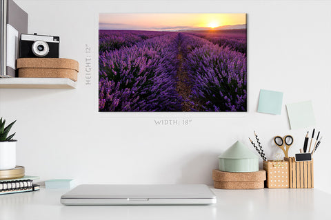 Canvas Print -  Lavender Field At Sunrise #E0785